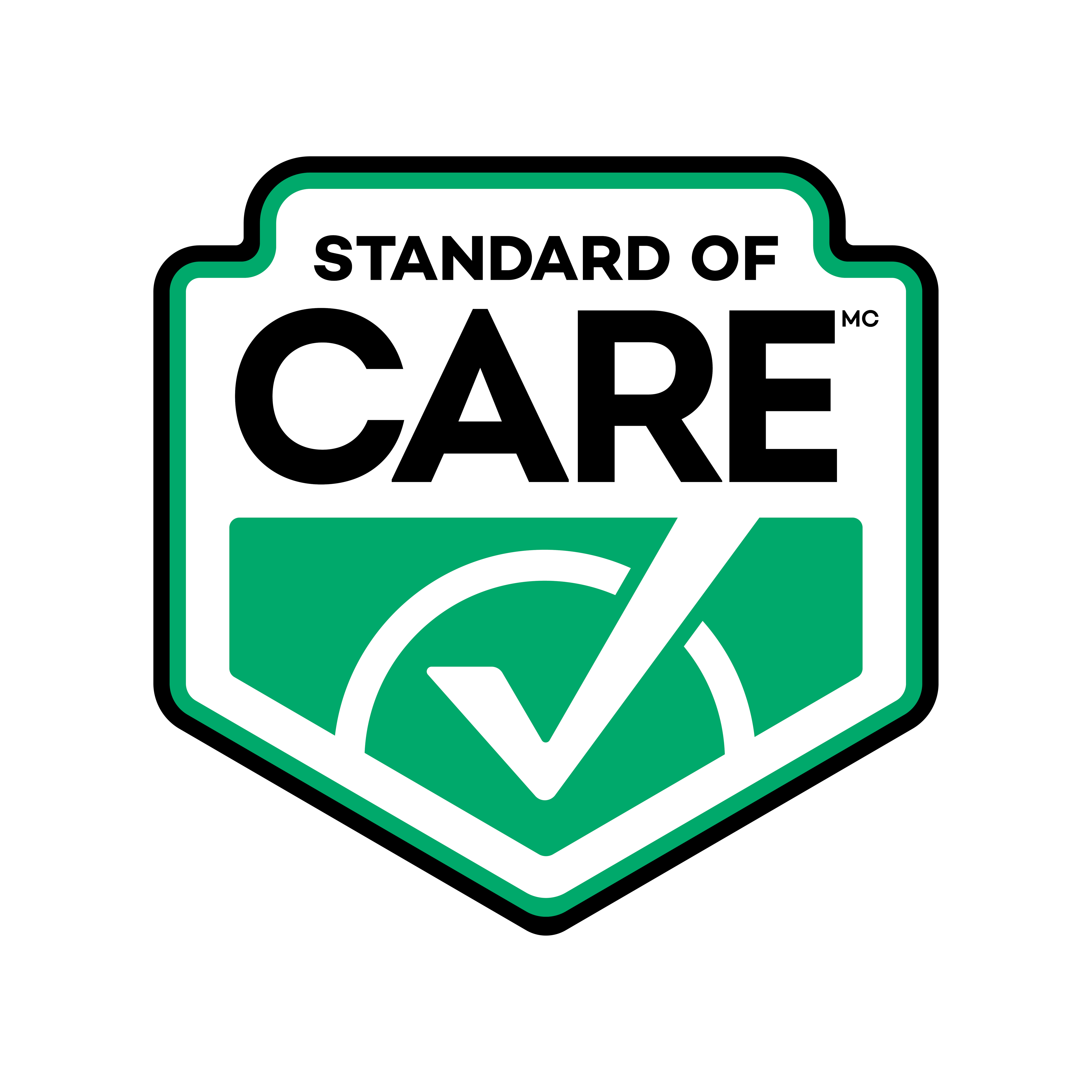 Standard of Care Logo